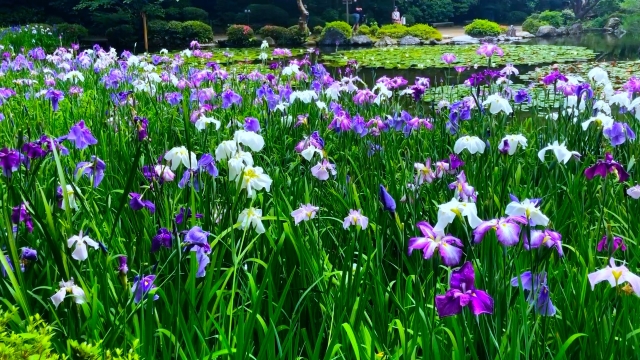 平安神宮の概要